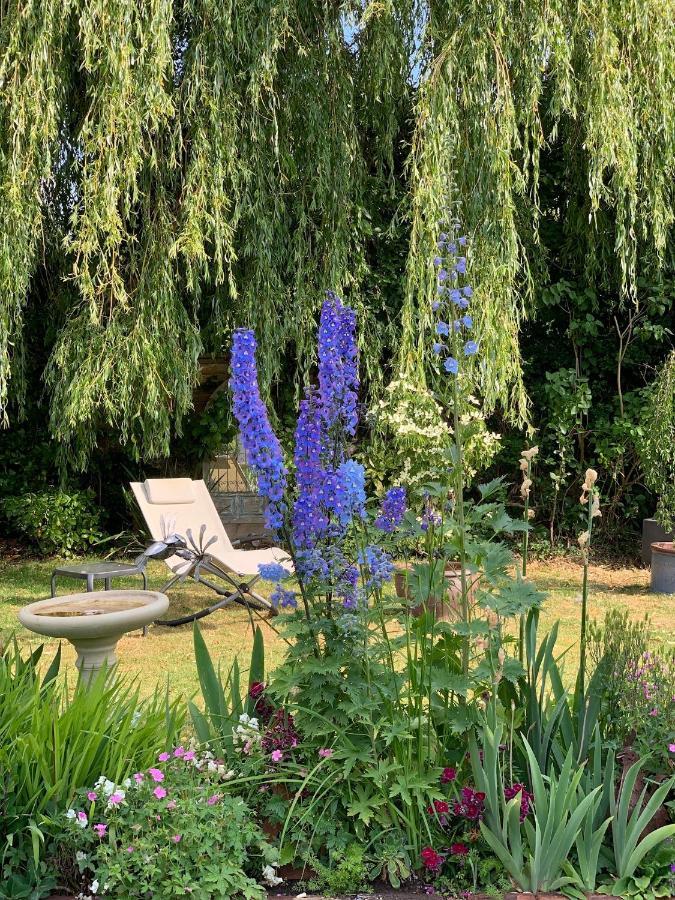 Little Dunmow Corner House Luxury Bnb المظهر الخارجي الصورة